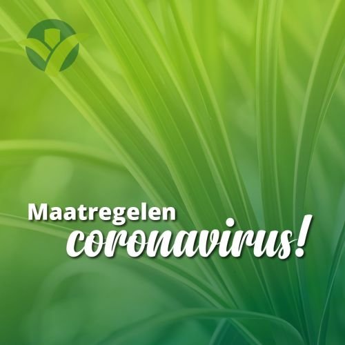 Maatregelen m.b.t. het corona virus