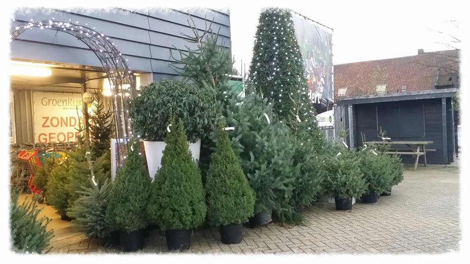 Kerstbomen kopen in Maastricht? Kom naar tuincentrum GroenRijk in Berg en Terblijt!