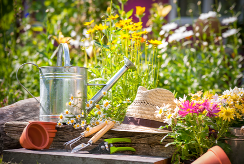 Bereid de tuin voor op de zomervakantie