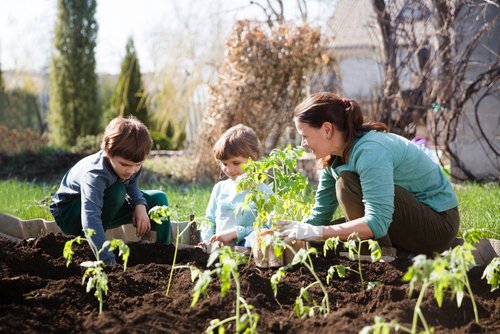 Een moestuin in 7 stappen