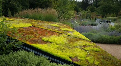 Hoe je wateroverlast voorkomt en water vasthoudt met een groene tuin
