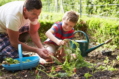 Tips voor een bloeiende moestuin in juni