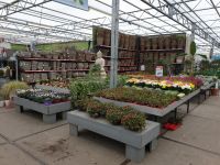 Foto's Verbouwing Tuincentrum 2019-2020