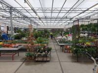 Foto's Verbouwing Tuincentrum 2019-2020